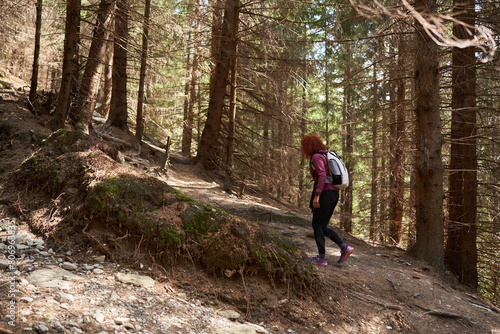 Woman hiker with backpack in a pine forest