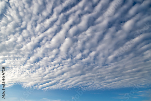 Cloudy sky. Beautiful blue sky with white Altocumulus undulatus clouds.
