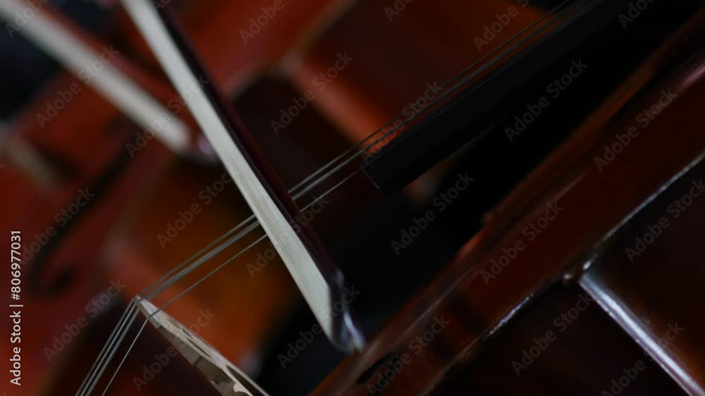 Closeup view of violoncello and hands of musician, cellist is playing cello in symphonic orchestra.
Cellist hands playing cello with bow. Violoncello orchestra musical instrument closeup Closeup view of violoncello and hands of musician, cellist is playing cello in symphonic orchestra.
Cellist hands playing cello with bow. Violoncello orchestra musical instrument closeup