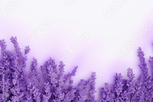 Lavender thin barely noticeable rectangle background pattern isolated on white background with copy space texture for display products blank 