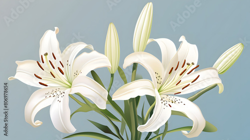 Digital hand drawn lily flowers patterns abstract graphic poster background