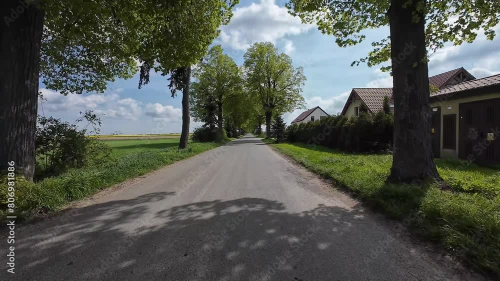 Driving down empty road with trees on roadside at summer day. First point view of camera moving on countryside route through forest