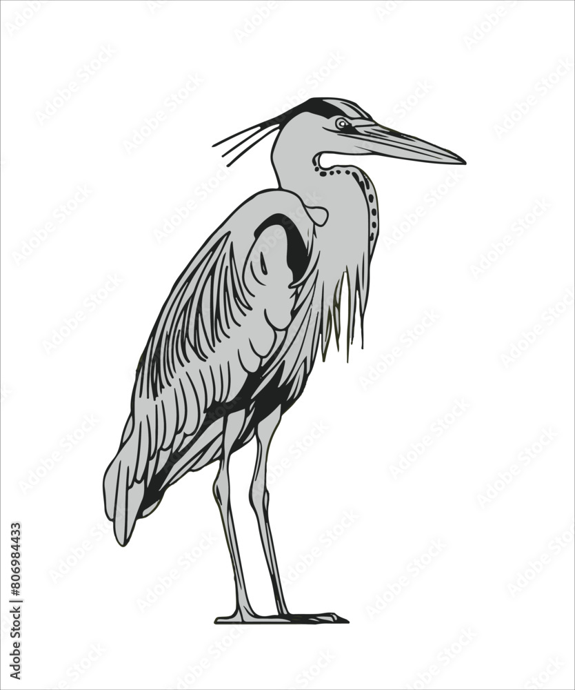 Fototapeta premium Heron Bird Victor Design