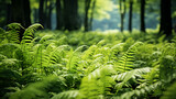 Fern Forest: Depict unfurling fronds in a shaded glade.