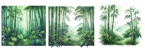 Green bamboo trees inside the forest. Background or frame. Digital art.