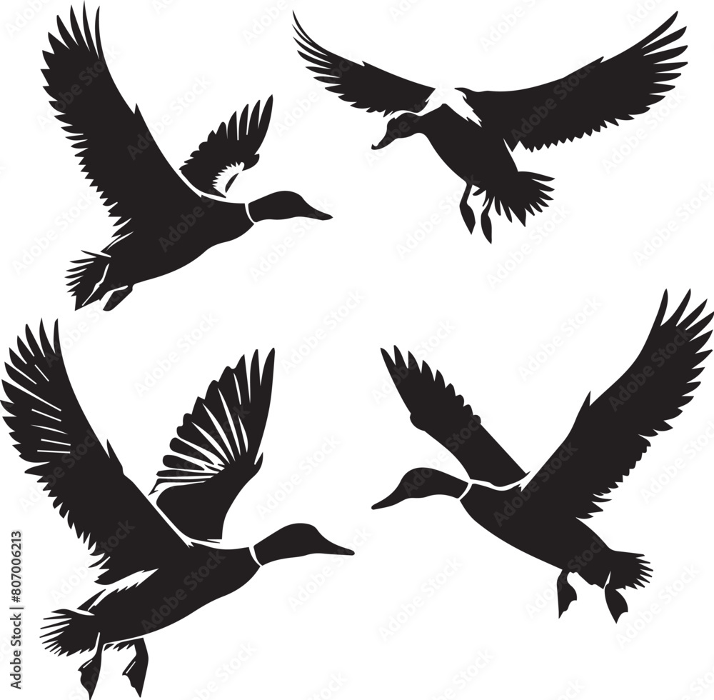 Obraz premium Duck silhouette isolated on white background. Duck logo.