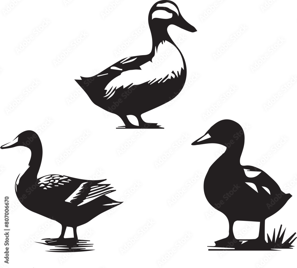 Duck silhouette isolated on white background. Duck logo. Duck silhouette isolated on white background. Duck logo.