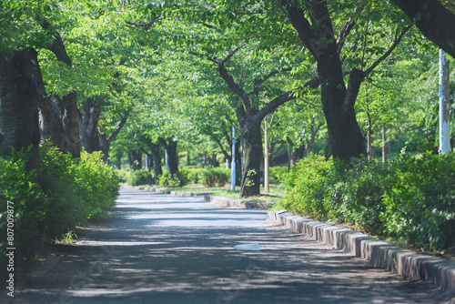 大阪の毛馬桜之宮公園