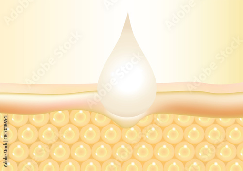 Provides collagen nutrition to skin cells