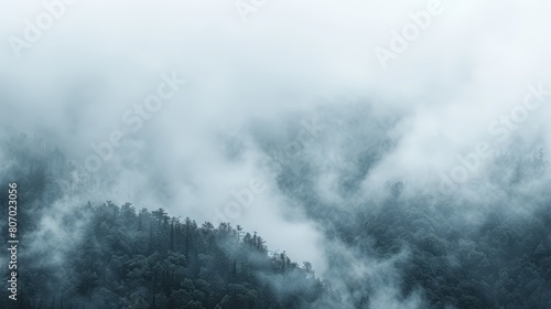  A mountain shrouded in fog, trees dot the foreground, while a handful of clouds scatter above, obscuring the peak