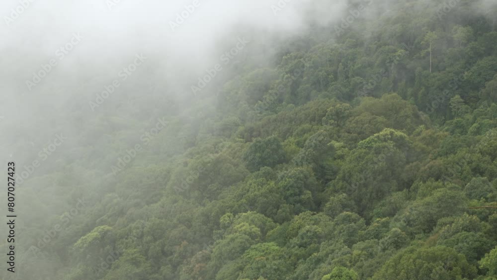 view of the mountain range hill with greenery rain forest and mist cloud fog windy flow over the mountain range in winter daytime