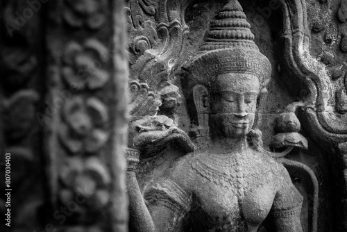 Aspera in Ta Prohm, Angkor, Cambodia photo