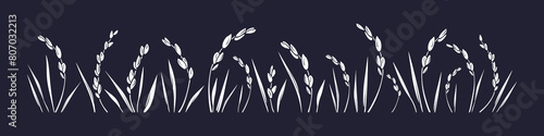 Rice art silhouette, white grain Spikelets in soil