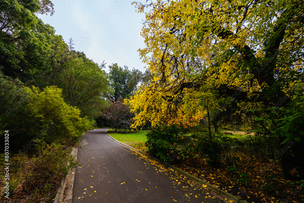 Fototapeta premium Royal Botanic Gardens in Melbourne Australia
