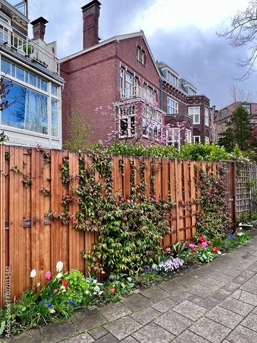 Blossoming Backyard: Pink blossoms add a colorful accent to a quaint Amsterdam backyard, surrounded by dense greenery and a rustic wooden fence.