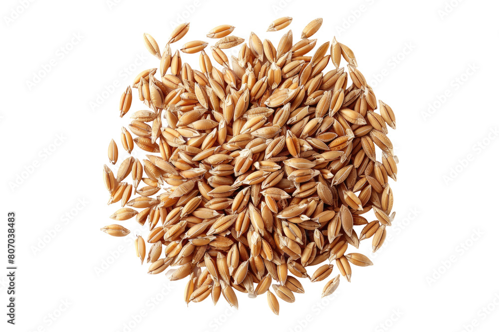Wheat grain isolated on transparent background Wheat grain isolated on transparent background
