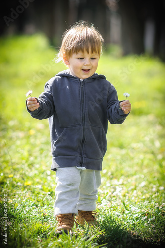 Happy little boy picking colorful flowers on a green field. Cute toddler exploring nature. Close-up