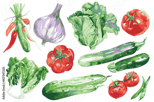 Set of summer vegetables, a simple watercolor clipart, white background.