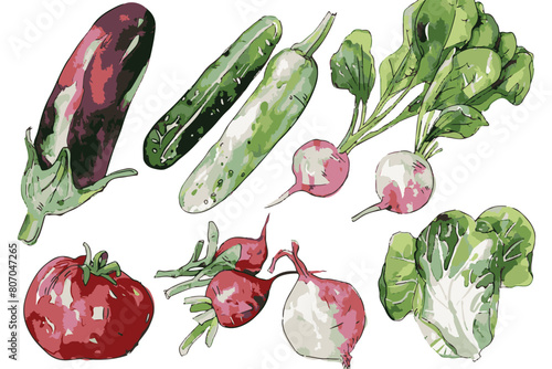 A set of playful summer vegetables in a simple watercolor style