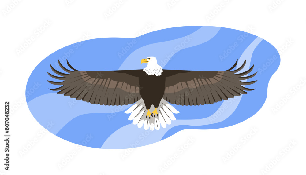 Obraz premium Eagle in flight vector illustration