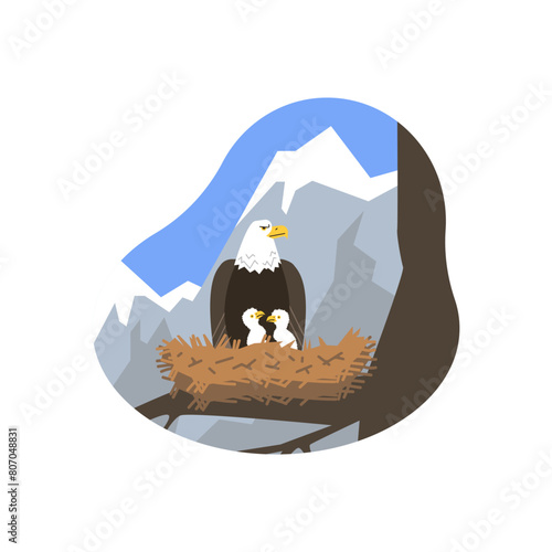 Large wild eagle sitting in nest with chicks flat style, vector illustration