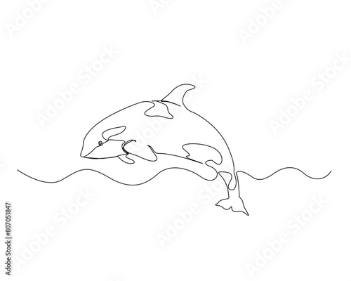 Continuous one line drawing of orca whale. Killer whale single outline vector design. Editable stroke.