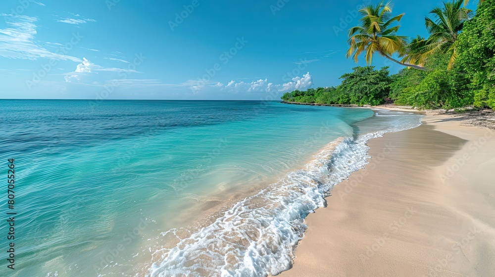 White sand with palm trees and emerald sea. A heavenly place to relax. Luxurious tropical landscape. Beautiful exotic summer beach background for design. White sand with palm trees and emerald sea. A heavenly place to relax. Luxurious tropical landscape. Beautiful exotic summer beach background for design.