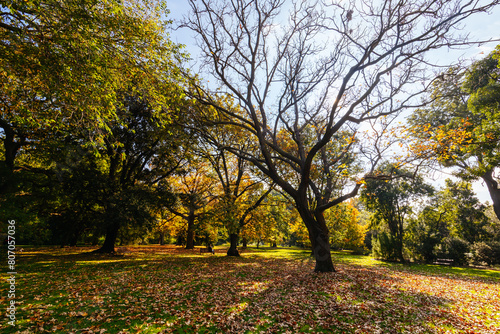 Royal Botanic Gardens in Melbourne Australia