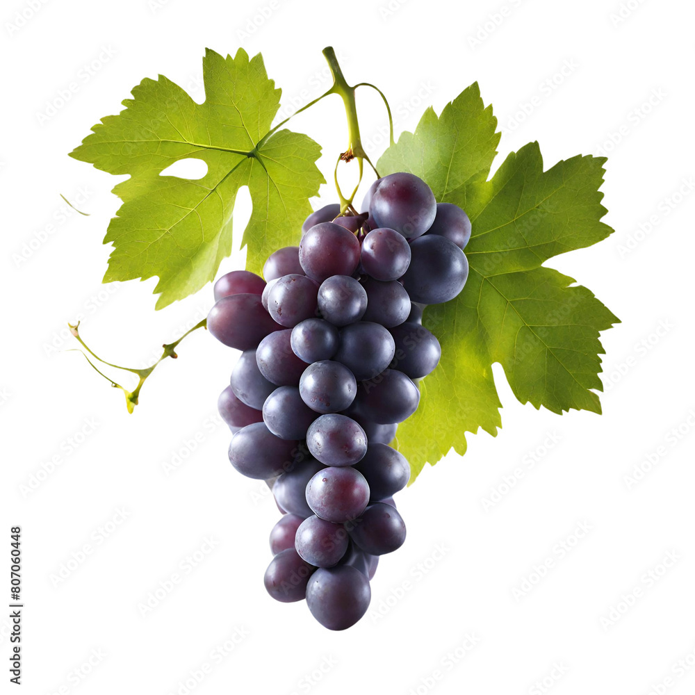 Fototapeta premium Grape. Generative AI