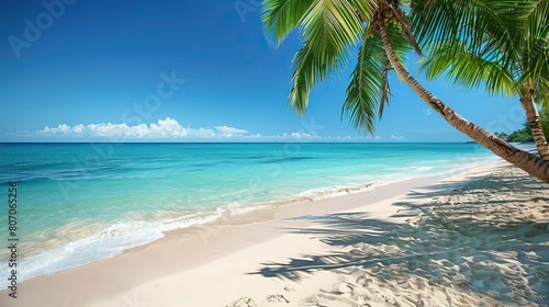 Fototapeta Naklejka Na Ścianę i Meble -  White sand with palm trees and emerald sea. A heavenly place to relax. Luxurious tropical landscape. Beautiful exotic summer beach background for design.