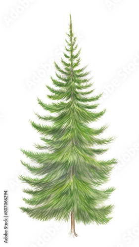 PNG  Christmas tree christmas drawing plant. © Rawpixel.com