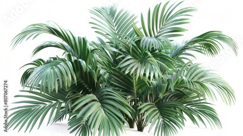 A lush green plant with long green leaves