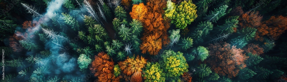 Capture the essence of Surrealism with an aerial view of a dreamlike forest, merging vibrant colors with distorted shapes and optical illusions Embrace unexpected camera angles to evoke mystery and wo Capture the essence of Surrealism with an aerial view of a dreamlike forest, merging vibrant colors with distorted shapes and optical illusions Embrace unexpected camera angles to evoke mystery and wo
