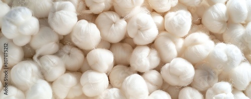 Soft, fluffy cotton balls spread out, showcasing their texture and fibrous detail.
