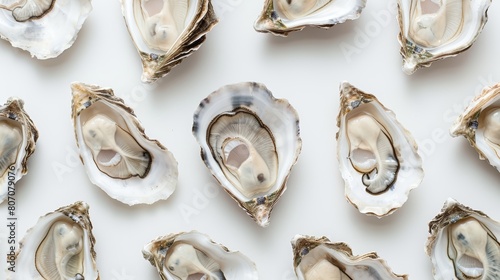 Striking top view portrait capturing oysters in a flawless symmetrical arrangement, displayed on a clean white background, offering a pure and artistic presentation