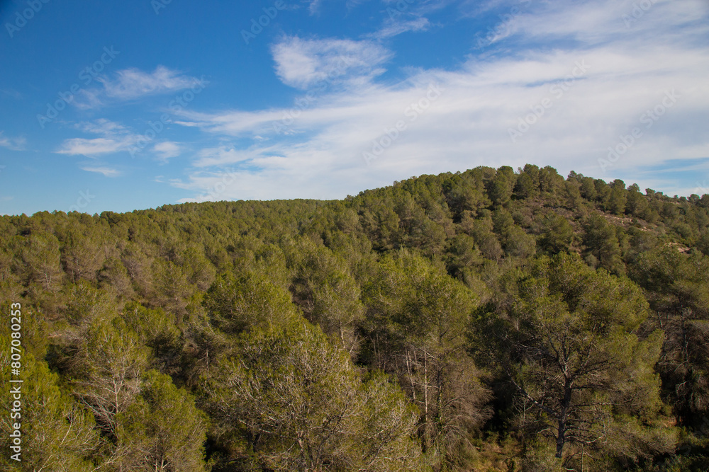 Tarragona - Acueducto de Ferreres o Puente del Diablo y entorno