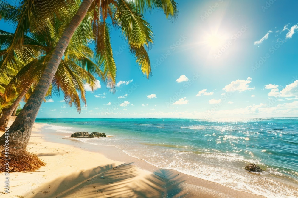 Obraz premium Beach with palm trees and sea on a clear day