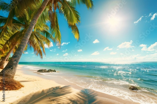 Beach with palm trees and sea on a clear day