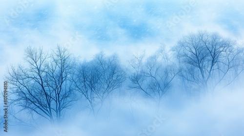   A cluster of leafless trees in a misty  foggy scene  backed by a blue sky dotted with clouds