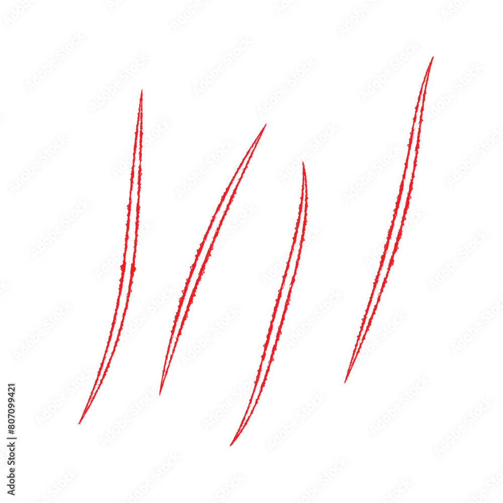 Bear paw claw marks, scratches of animal attack Bear paw claw marks, scratches of animal attack