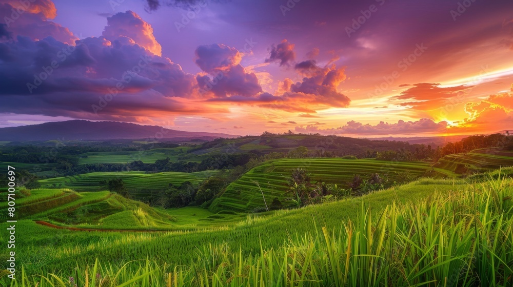 Obraz premium A stunning sunset over lush green rice fields, painting the sky in hues of orange and purple, a tranquil scene of rural beauty.