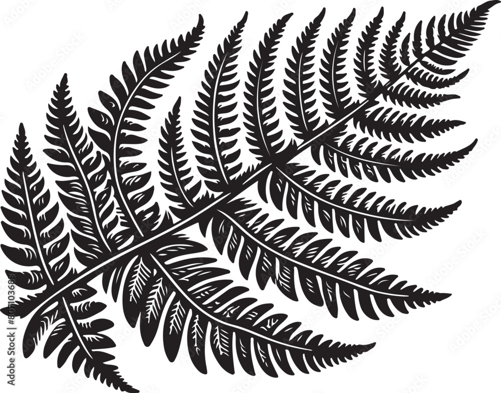Naklejka premium fern leaf isolated on black desain and white begraund