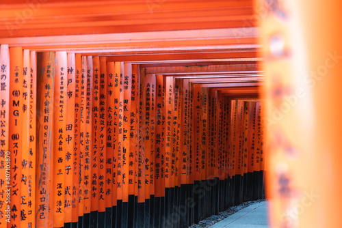 Kyoto Fushimi Inari Japanese Red Torii Gates