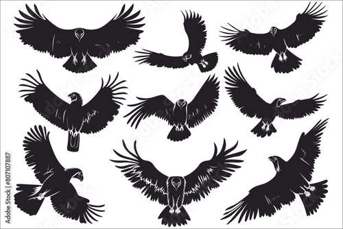 Set of condor silhouettes, Set of black silhouettes of condor flying, Black silhouette of a Condor, Silhouette of condor flying, Flying bird silhouettes,  Vector
