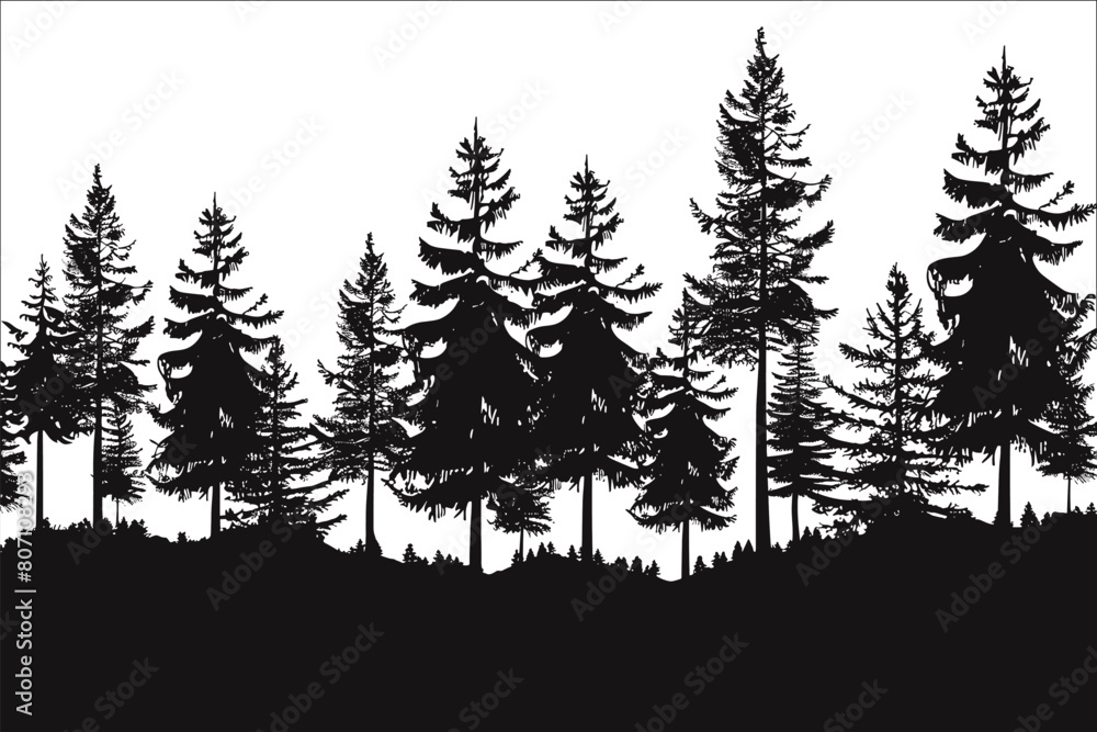 Silhouettes of trees in the forest, Silhouette of forest trees, Pine tree silhouettes, Fir trees silhouettes, Forest vector silhouette , Fir Tree, Pine tree black silhouettes, Vector Silhouettes of trees in the forest, Silhouette of forest trees, Pine tree silhouettes, Fir trees silhouettes, Forest vector silhouette , Fir Tree, Pine tree black silhouettes, Vector