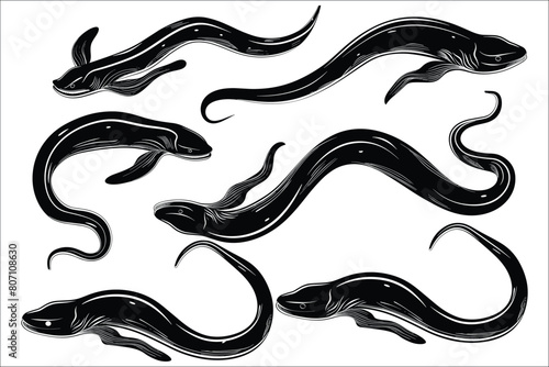 Set of eel silhouettes, Black silhouette of eel , eel silhouette set, Silhouettes of eel, Vector