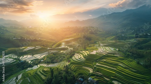 Aerial view of vast rice terraces bathed in the warm glow of the setting sun, creating a breathtaking landscape of natural beauty.