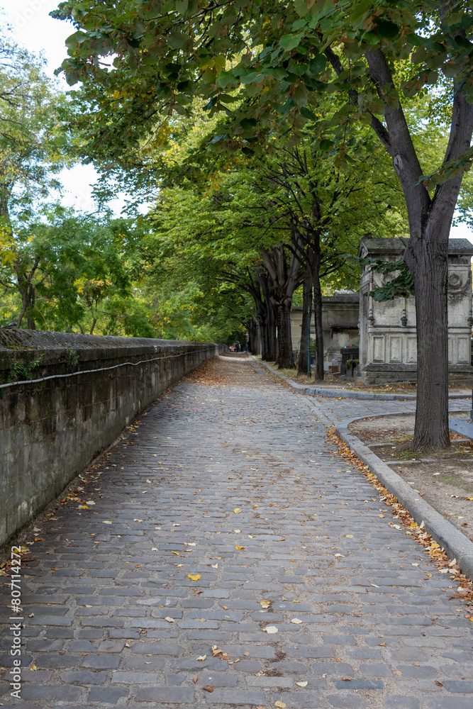 old cemetery in the city