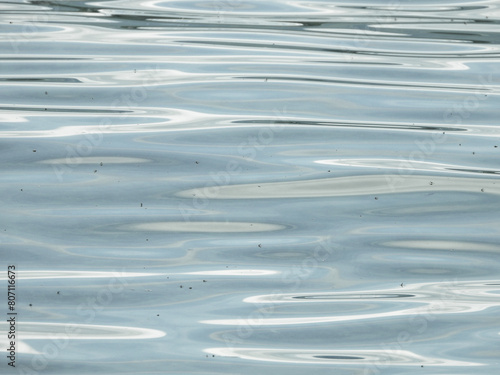 Reflets calmes sur la surface du lac Léman au printemps