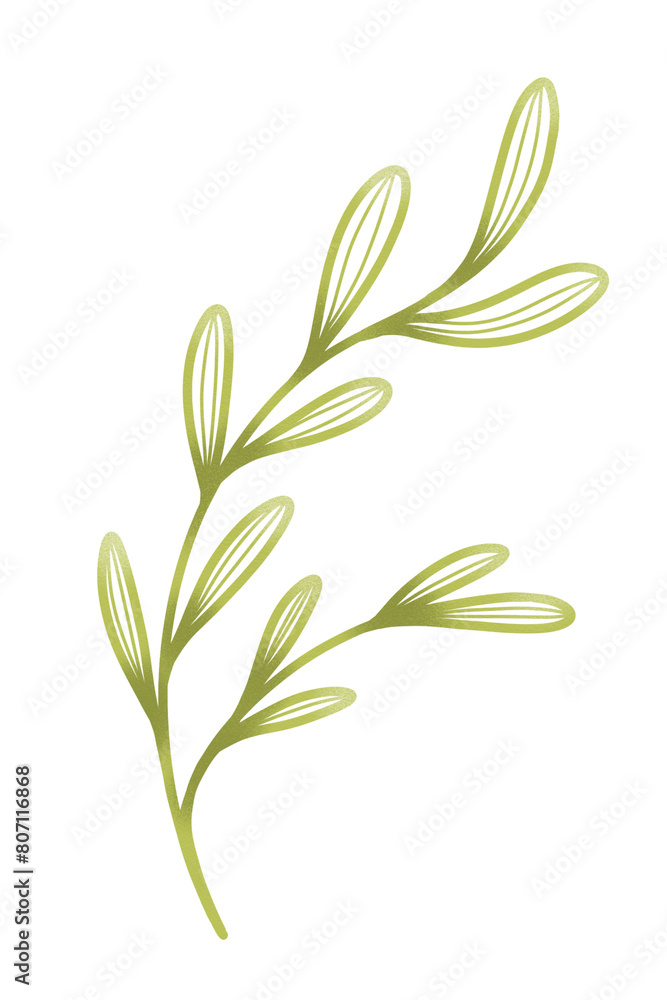 Green leaves textured effect, isolated on white background. Hand drawn digital illustration by watercolor brushes. For sticker, greeting card, print, any DIY. Green leaves textured effect, isolated on white background. Hand drawn digital illustration by watercolor brushes. For sticker, greeting card, print, any DIY.